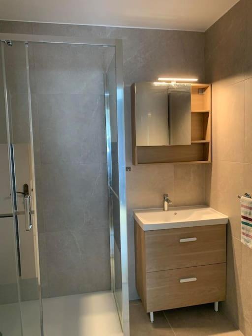 Grand Appartement - Nancy Centre - 2 Chambres 2 Lits Ngoại thất bức ảnh